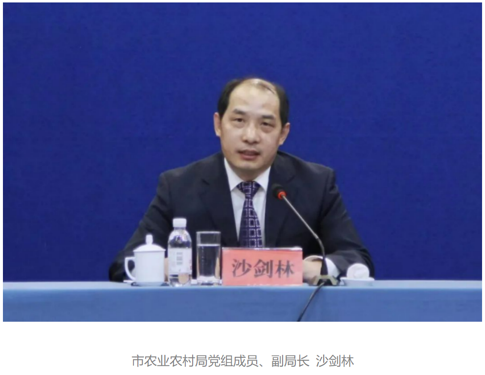 QQPK官网-不凡成绩非凡,相信品牌的实力